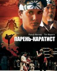 Парень-каратист 1 (1984)