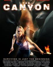 Каньон (2009)